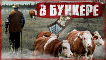 Пастух - Хамет