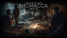 Органическая биомасса - Автор неизвестен