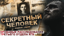 Секретный человек - Лариса Львова