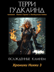 Осаждённые камнем - Терри Гудкайнд