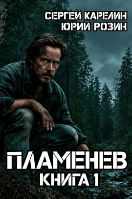 Пламенев. Книга 1 -                   Сергей Карелин